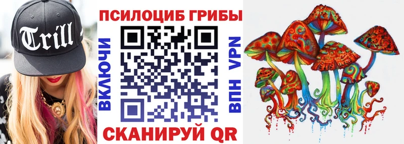 Псилоцибиновые грибы Cubensis  закладки  Черногорск 